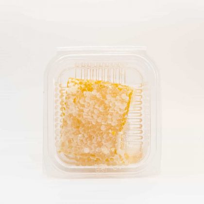 Panal-Miel-Abeja-Comprar (3)