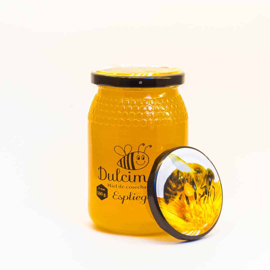 Miel-Espliego-500gr-Dulcimelis-Miel-cruda